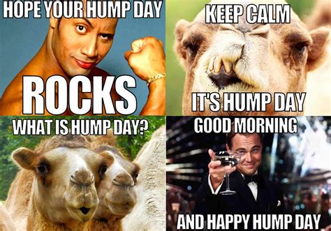 humping day|45 Hump Day Memes To Get You Through The Rest .